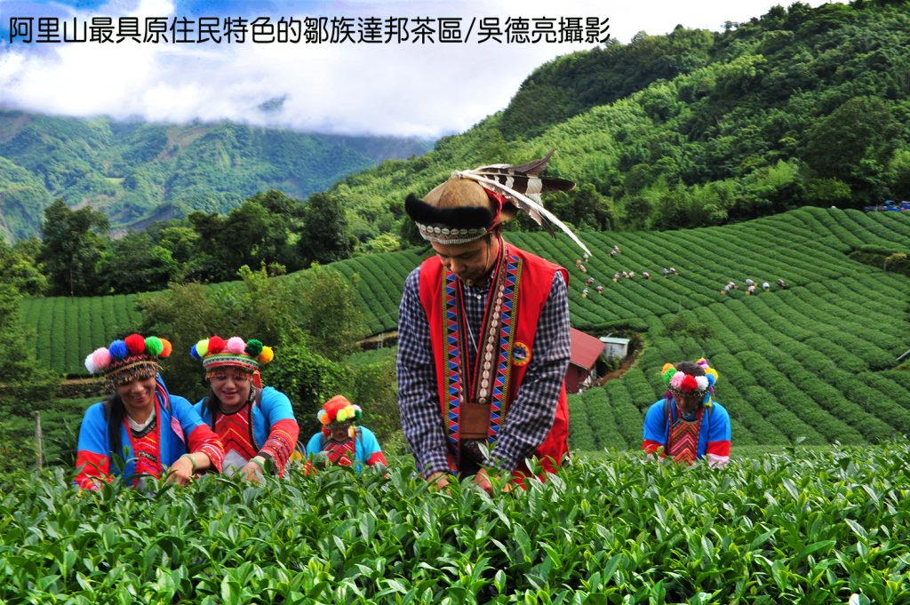 %E9%98%BF%E9%87%8C%E5%B1%B1%E6%9C%80%E5%85%B7%E5%8E%9F%E4%BD%8F%E6%B0%91%E7%89%B9%E8%89%B2%E7%9A%84%E9%84%92%E6%97%8F%E9%81%94%E9%82%A6%E8%8C%B6%E5%8D%80 1024x681 1