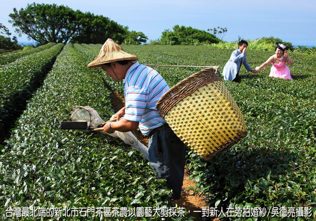 %E5%8F%B0%E7%81%A3%E6%9C%80%E5%8C%97%E5%96%98%E7%9A%84%E6%96%B0%E5%8C%97%E5%B8%82%E7%9F%B3%E9%96%80%E8%8C%B6%E5%8D%80%E8%8C%B6%E8%BE%B2%E4%BB%A5%E5%9C%92%E8%97%9D%E5%A4%A7%E5%89%AA%E6%8E%A1%E8%8C%B6%E4%B8%80%E5%B0%8D%E6%96%B0%E4%BA%BA%E5%9C%A8%E7%AF%A3%E6%8A%BD%E5%A9%9A%E7%B4%84 1024x715 1