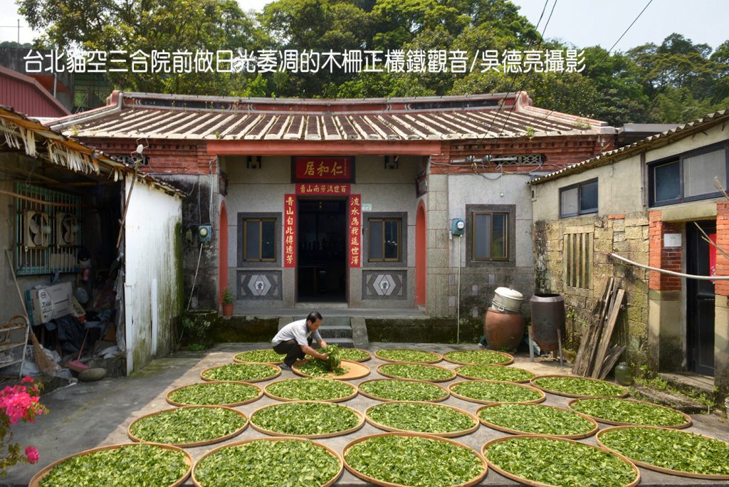 %E5%8F%B0%E5%8C%97%E7%8C%AB%E7%A9%BA%E4%B8%89%E5%90%88%E9%99%A2%E5%89%8D%E5%81%9A%E6%97%A5%E5%85%89%E8%90%8E%E5%87%8B%E7%9A%84%E6%9C%A8%E6%9F%B5%E6%AD%A3%E6%AC%89%E9%90%B5%E8%A7%80%E9%9F%B3 1024x684 1