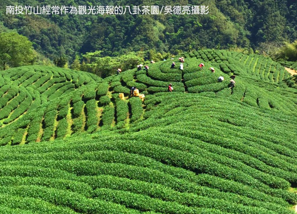 %E5%8D%97%E6%8A%95%E7%AB%B9%E5%B1%B1%E7%B6%93%E5%B8%B8%E4%BD%9C%E7%82%BA%E8%A7%80%E5%85%89%E6%B5%B7%E5%A0%B1%E7%9A%84%E5%85%AB%E5%8D%A6%E8%8C%B6%E5%9C%92 1024x740 1