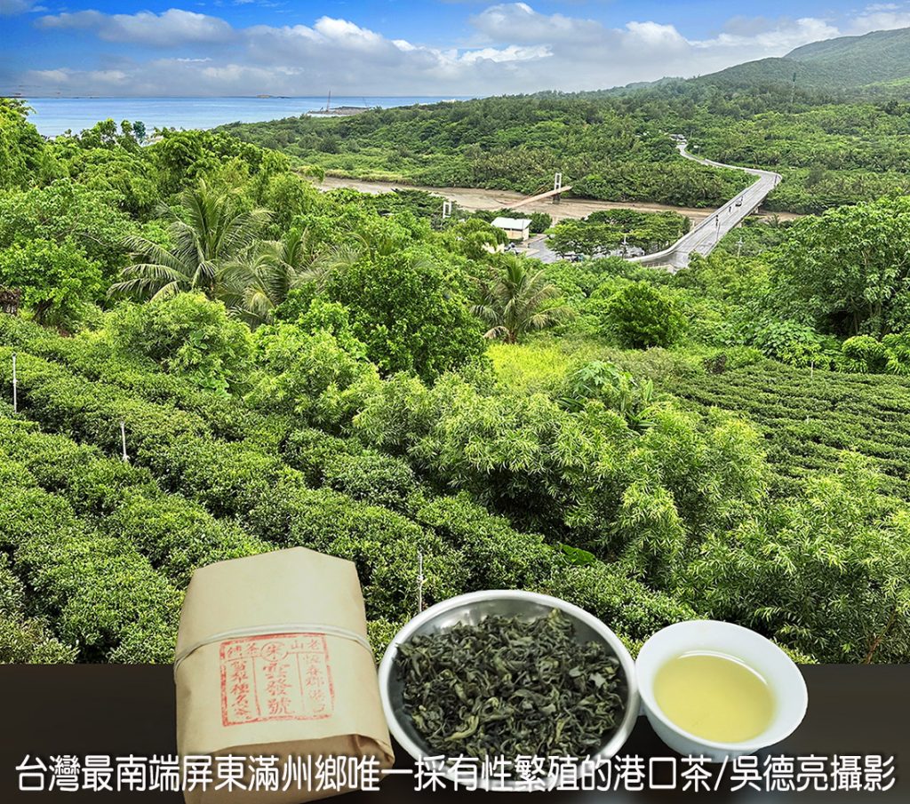 %E5%8F%B0%E7%81%A3%E6%9C%80%E5%8D%97%E7%AB%AF%E5%B1%8F%E6%9D%B1%E6%BB%BF%E5%B7%9E%E9%84%89%E5%94%AF%E4%B8%80%E6%8E%A1%E6%9C%89%E6%80%A7%E7%B9%81%E6%AE%96%E7%9A%84%E6%B8%AF%E5%8F%A3%E8%8C%B6 1024x905 1