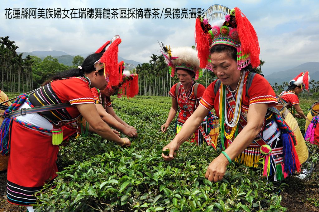 %E8%8A%B1%E8%93%AE%E7%B8%A3%E9%98%BF%E7%BE%8E%E6%97%8F%E5%A9%A6%E5%A5%B3%E5%9C%A8%E7%91%9E%E7%A9%97%E8%88%9E%E9%B6%B4%E8%8C%B6%E5%8D%80%E6%8E%A1%E6%91%98%E6%98%A5%E8%8C%B6 1024x681 1