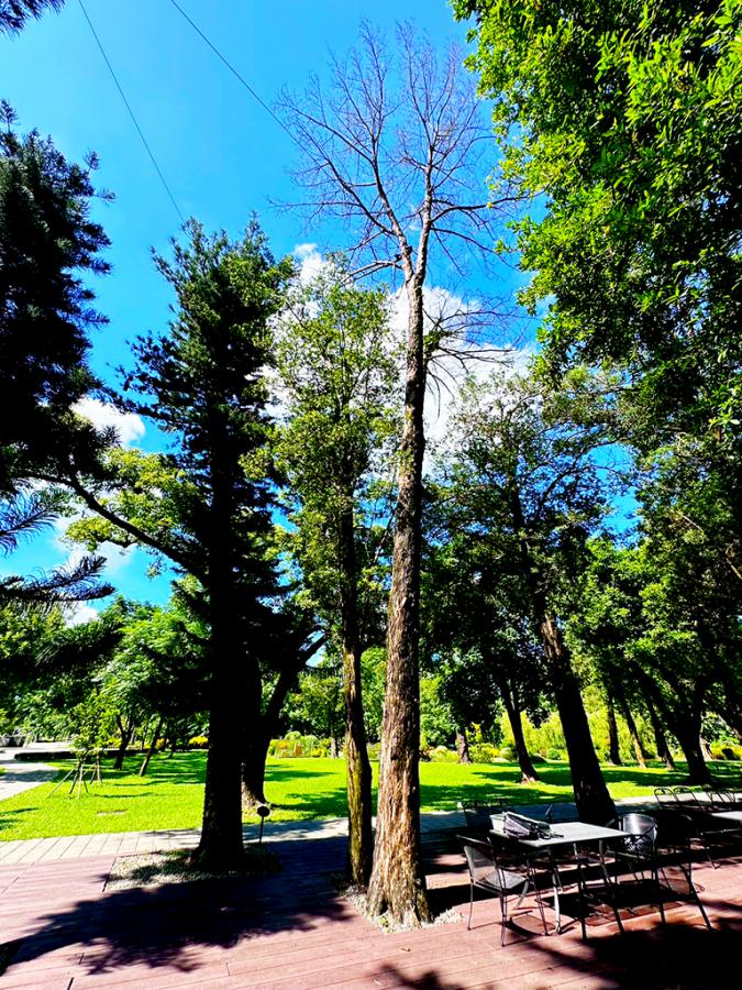 20260102142113 723e1d8a