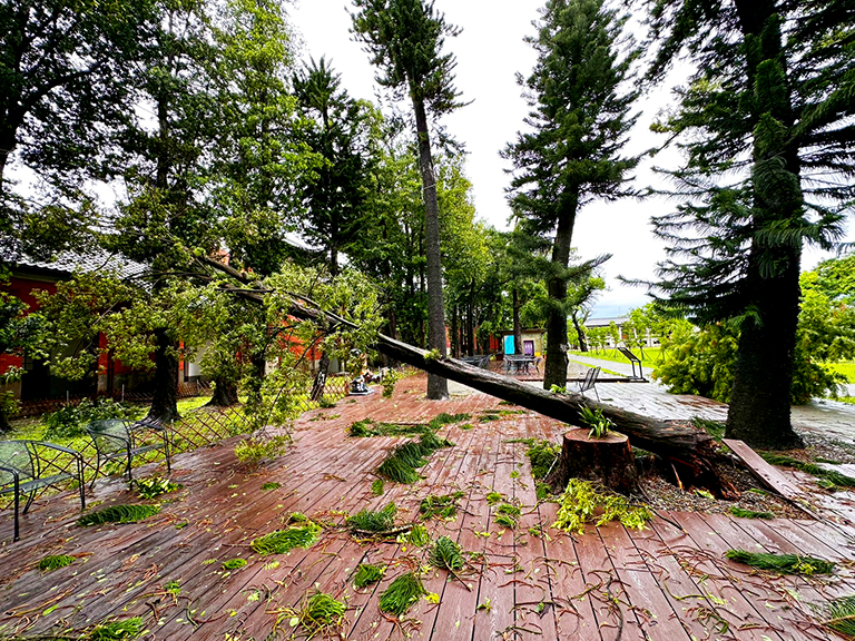 20260102141926 6440693f