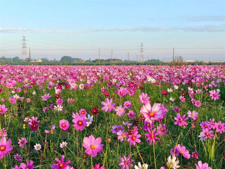 20260102200500 4ce8fd39