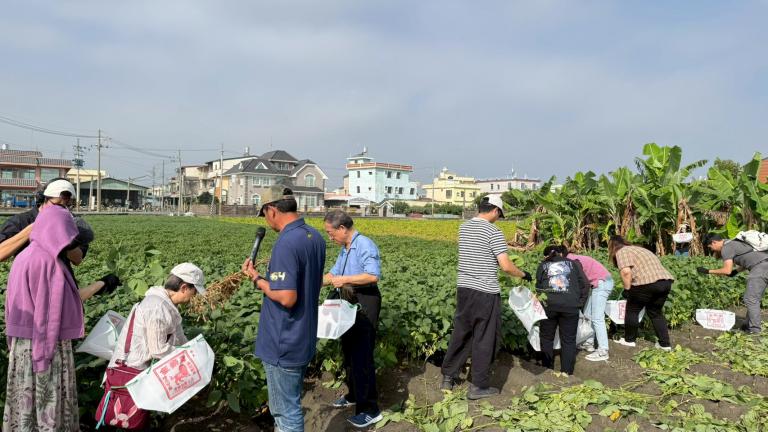 20260106010145 822764dc