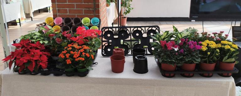 設施盆花智慧灌溉 省工節能好美麗 3 20260107181716 16b3632a