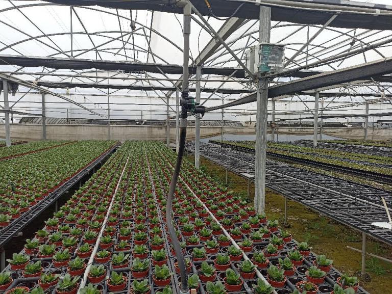 設施盆花智慧灌溉 省工節能好美麗 4 20260107182252 c0cfdeea