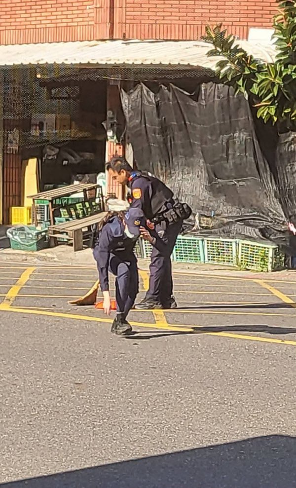 S__487891039_0 - 報新聞 Mega News S 487891039 0