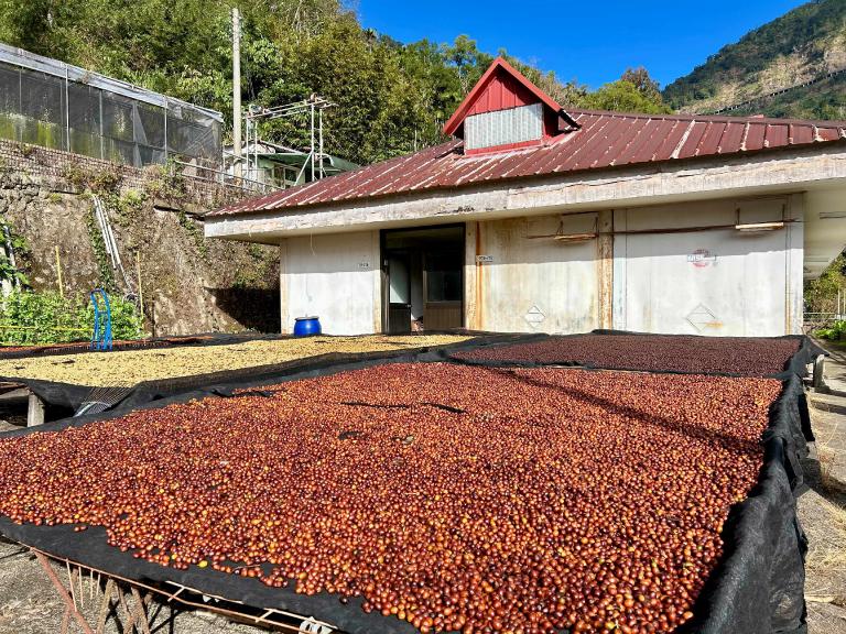 20260108193458 e322e0ba