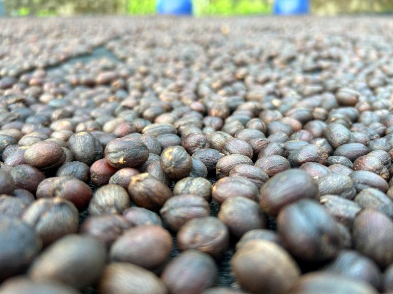 20260108194235 12ef1e38