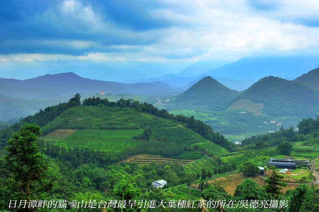 %E6%97%A5%E6%9C%88%E6%BD%AD%E7%95%94%E7%9A%84%E8%B2%93%E5%98%B2%E5%B1%B1%E6%98%AF%E5%8F%B0%E7%81%A3%E6%9C%80%E6%97%A9%E5%BC%95%E9%80%B2%E5%A4%A7%E8%91%89%E7%A8%AE%E7%B4%85%E8%8C%B6%E7%9A%84%E6%89%80%E5%9C%A8 1024x681 1