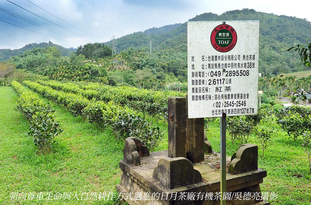 %E6%9C%9D%E5%90%91%E5%B0%8A%E9%87%8D%E7%94%9F%E5%91%BD%E8%88%87%E5%A4%A7%E8%87%AA%E7%84%B6%E8%80%95%E4%BD%9C%E6%96%B9%E5%BC%8F%E9%82%81%E9%80%B2%E7%9A%84%E6%97%A5%E6%9C%88%E8%8C%B6%E5%BB%A0%E6%9C%89%E6%A9%9F%E8%8C%B6%E5%9C%92 1024x676 1