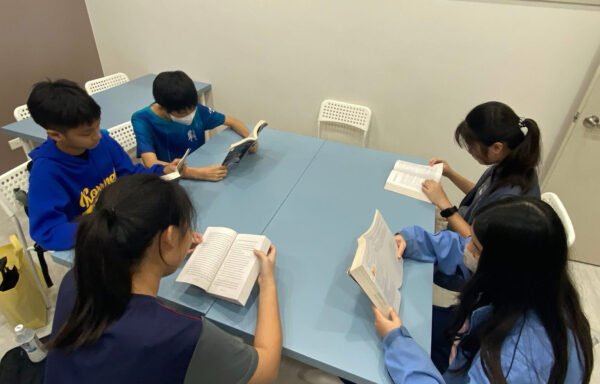 20260109105556 13 600x384 1