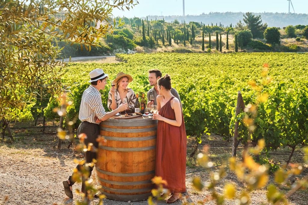 No 250021-2 Vineyards of Anatolia Gastronomy 來源 GoTürkiye Experiences - 報新聞 Mega News No 250021 2 Vineyards of Anatolia Gastronomy %E4%BE%86%E6%BA%90 GoTurkiye Experiences 1024x683 1