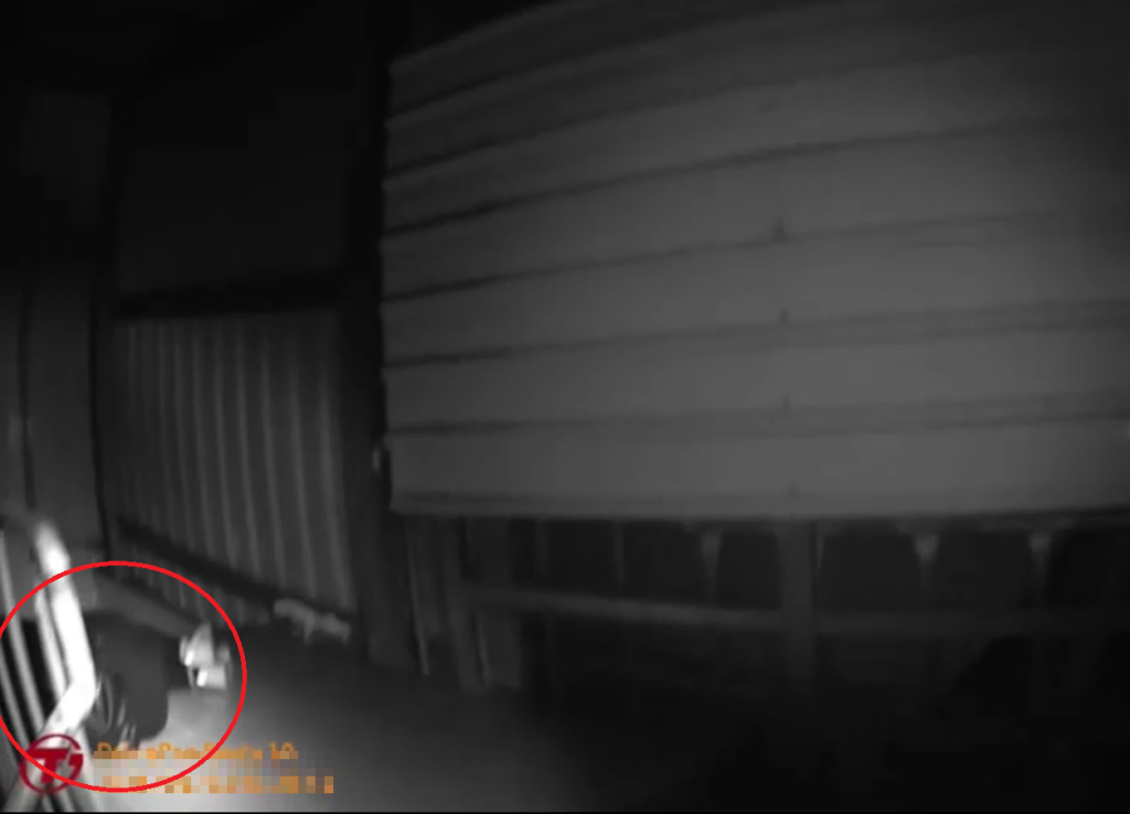 S__488890397_0 - 報新聞 Mega News S 488890397 0 1024x738 1