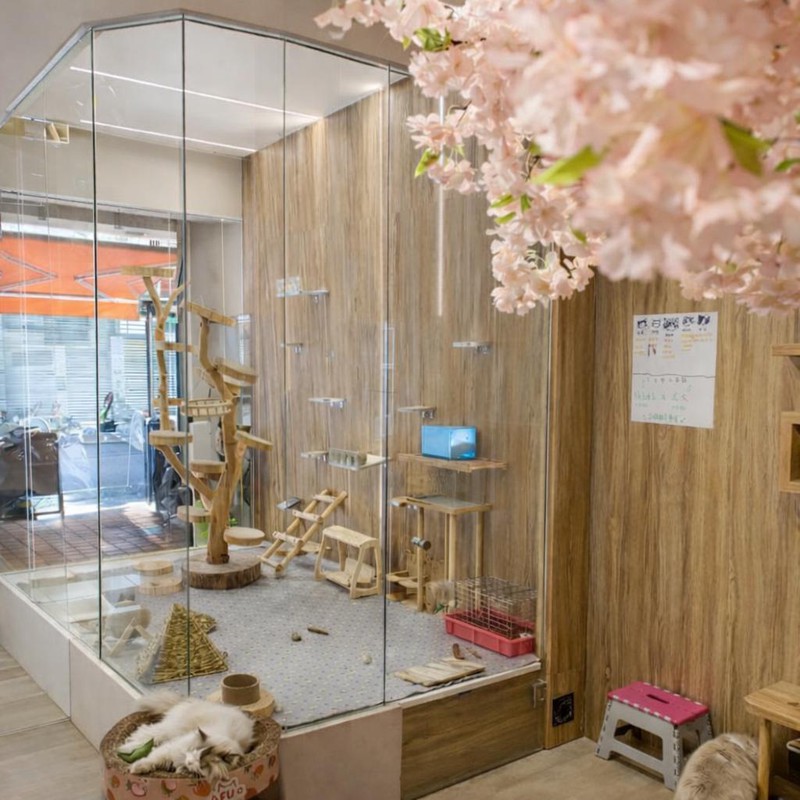 台中北區龍貓主題茶飲:在茶香中與龍貓和貓咪共享不打擾的療癒時光 8 eaeefcb1 aa83 4640 9d86 8b28452d572c 176810257536252344706458185