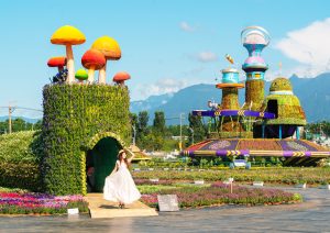 2qt40qh4289 300x212 1