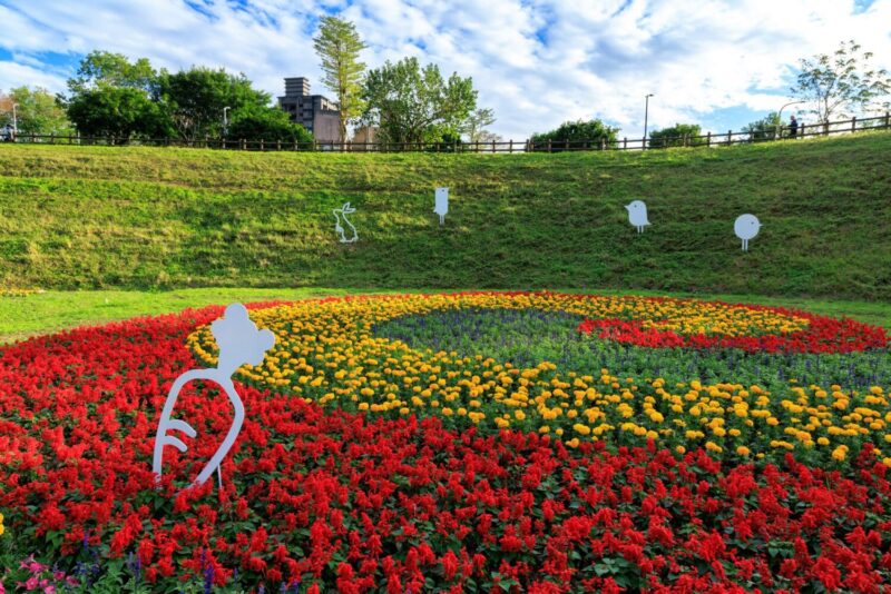 ad9469bc fd3d 4c08 8137 e0ee24460958 800x534 1