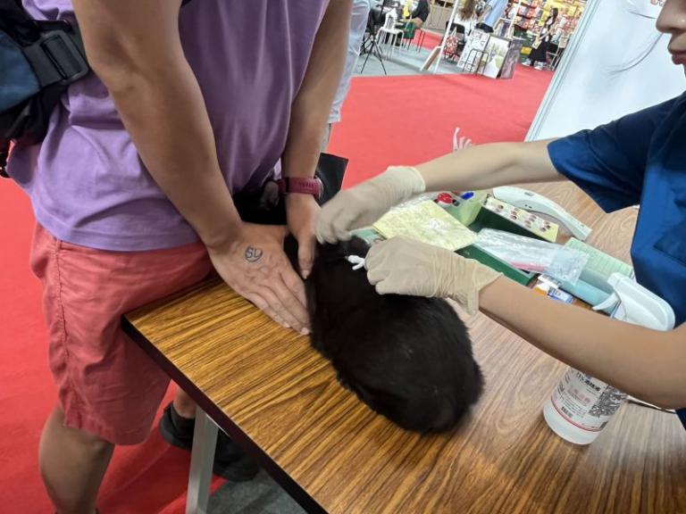 20260112153002 f452fd08