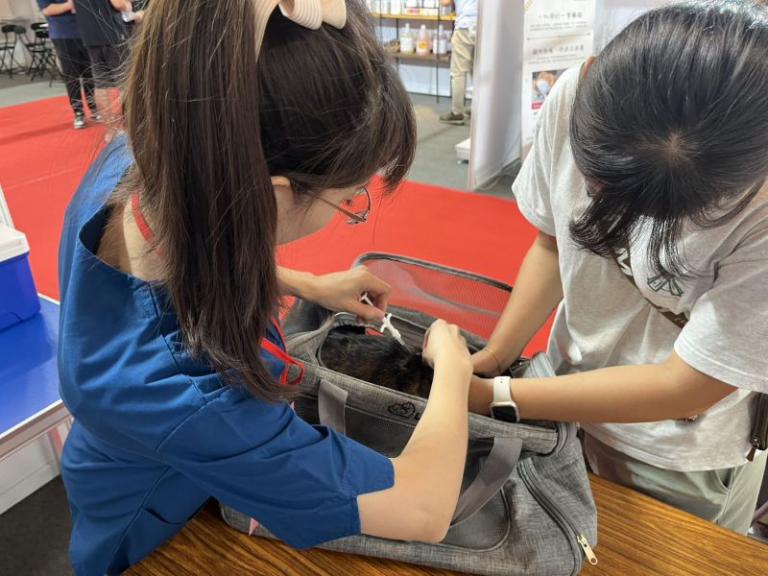 20260112153104 bb1e73da