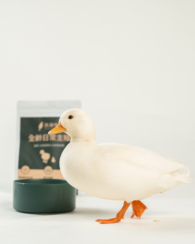 8ae2390e df90 4dae b312 cca62cc0b1de