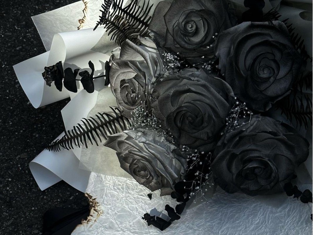 8efd680c 2ccb 4e37 8040 dd3466136d35 176822102971943108900907790