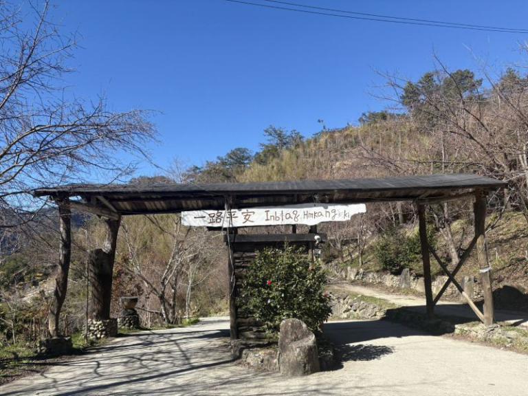 司馬庫斯櫻花季實施交通總量管制 1月19日起開放申請通行證 2 20260115114828 98ad69c4