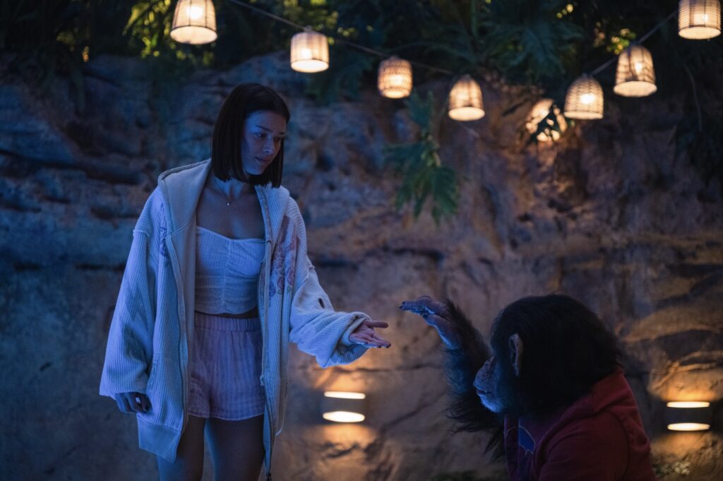 %E4%B8%8B%E5%8D%88137 2026 1 16%E7%9A%84%E5%BD%B1%E5%83%8F 2 1024x681 2