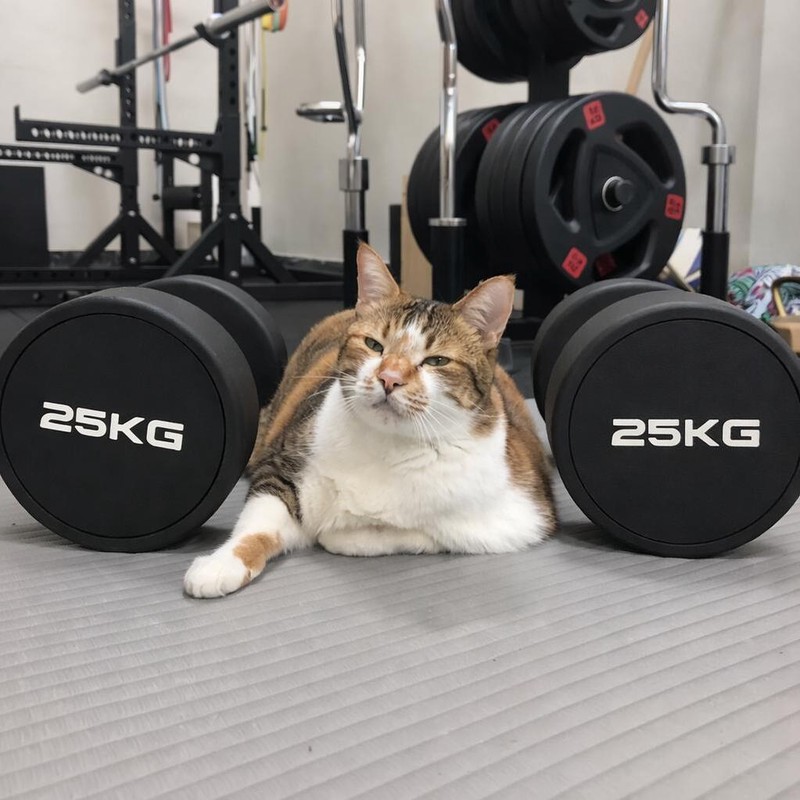 31c6abfc 249e 490d a851 190295cca9f3 176855015326974978605228245