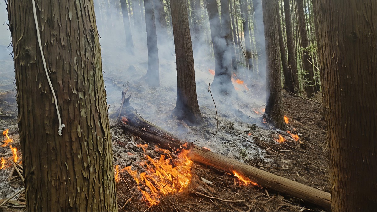 df9c1626 667c 47f4 8fee f00dde0332df