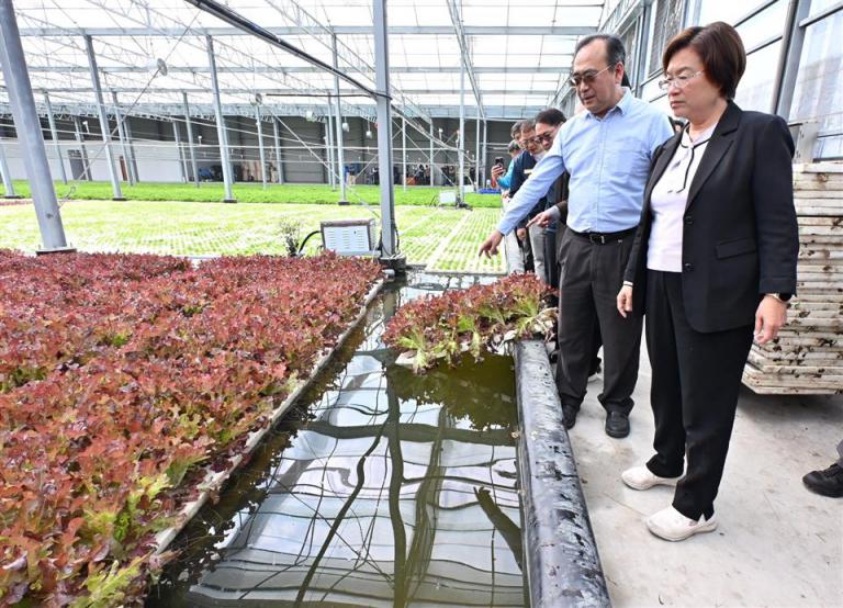 20260117171614 506d2697