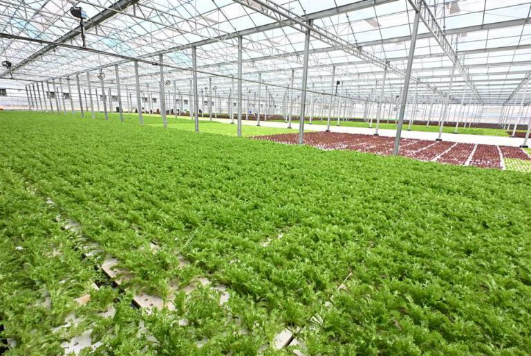 20260117171635 39738693