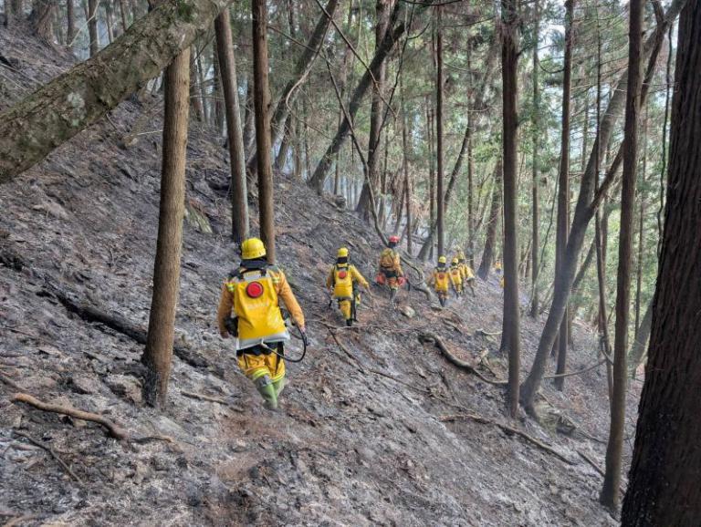 20260117191317 42ba3689