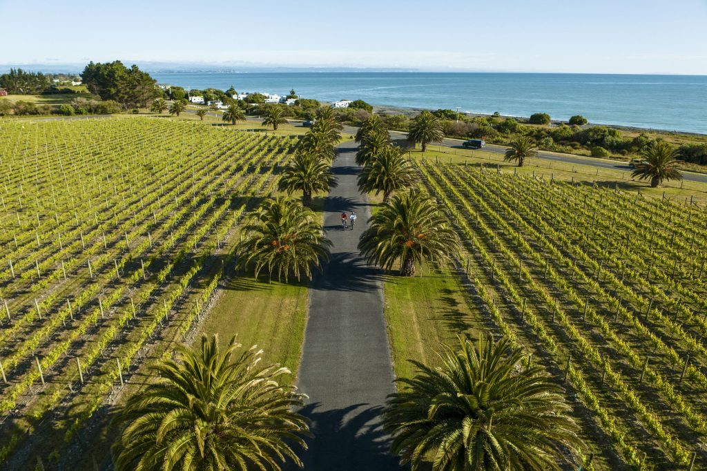 No 250024 4 Hawke s Bay Winery %E4%BE%86%E6%BA%90 100 PURE NEW ZEALAND 1024x682 1