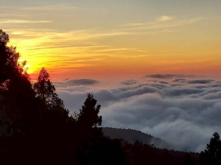 阿里山賓館頂級套房即將登場 漫步雲端飽覽磅薄雲海 4 20260119204816 c4eca179