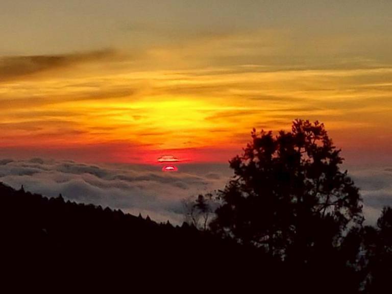 阿里山賓館頂級套房即將登場 漫步雲端飽覽磅薄雲海 5 20260119205437 a813b9d7