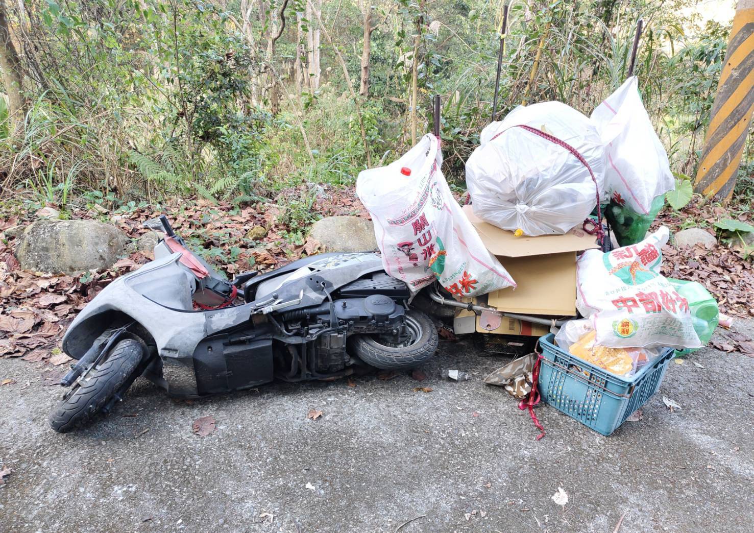 1774449_0 - 報新聞 Mega News 1774449 0