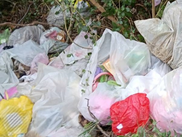 S__494059622_0 - 報新聞 Mega News S 494059622 0