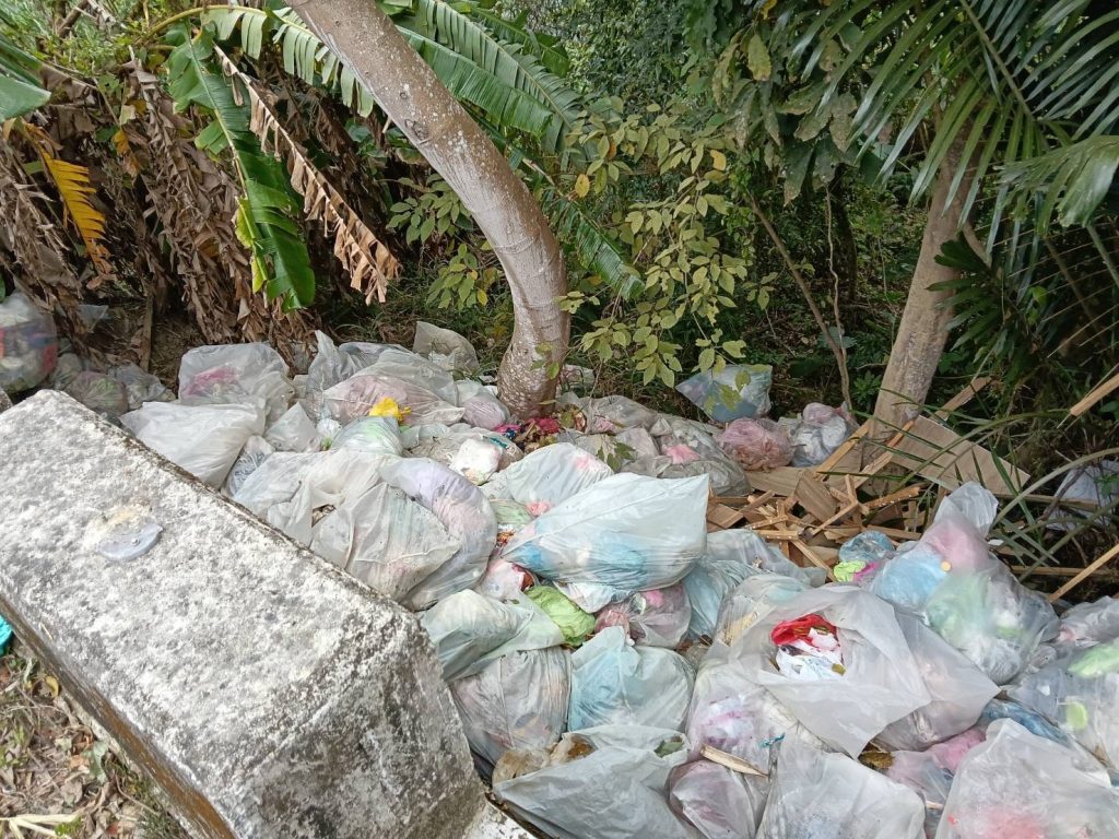 S__494059619_0 - 報新聞 Mega News S 494059619 0 1024x768 1