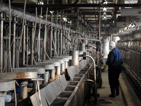 62b875d2 9b57 4d76 8e95 7ff33c31c4a3