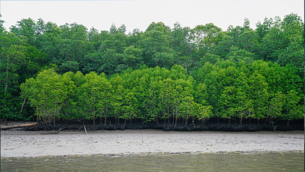 69205cb2 677e 402b be74 f7f18ecd6553 176897304003137119805370499