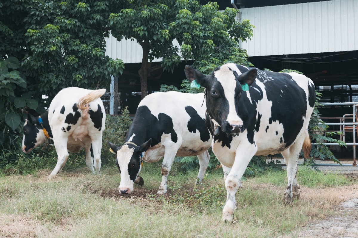 6e53b7e8 be4f 47f1 9b84 26e9e4a653ba 176907520256937376402799982