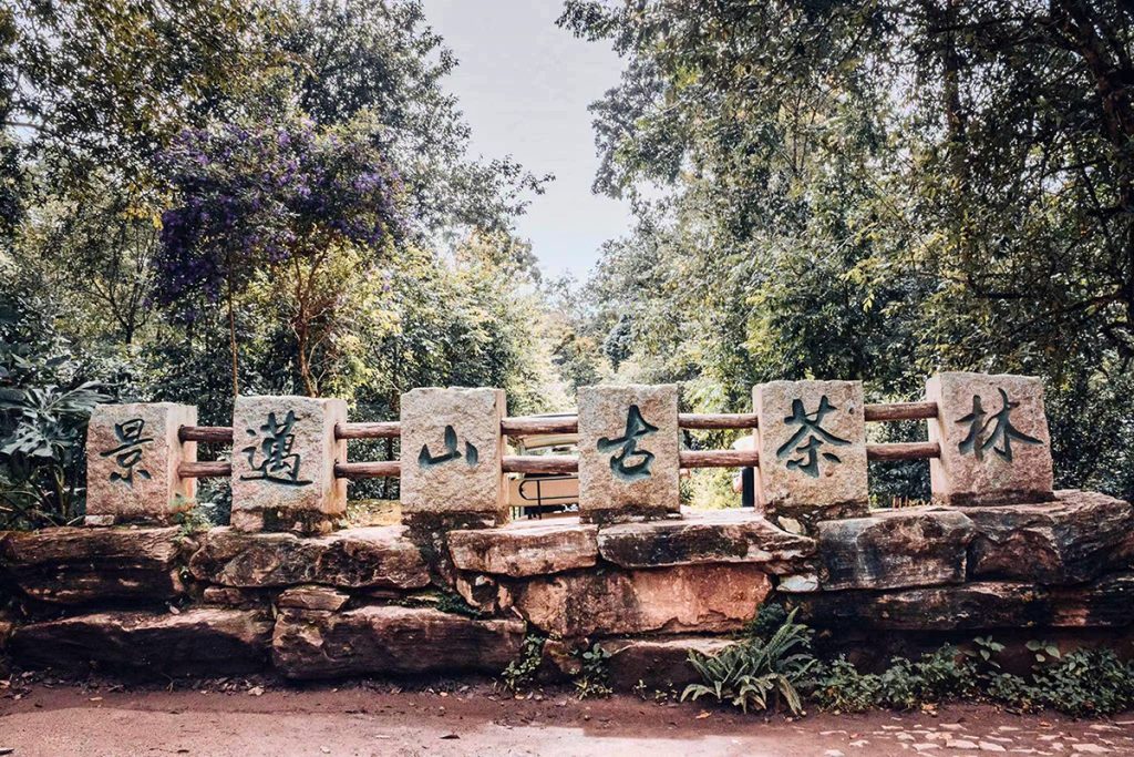 %E6%99%AF%E9%82%81%E5%B1%B1%E5%8F%A4%E8%8C%B6%E6%9E%97 1024x683 1