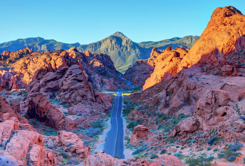 No 250026-3 Nevada 來源 GoUSA - 報新聞 Mega News No 250026 3 Nevada %E4%BE%86%E6%BA%90 GoUSA 1024x696 1