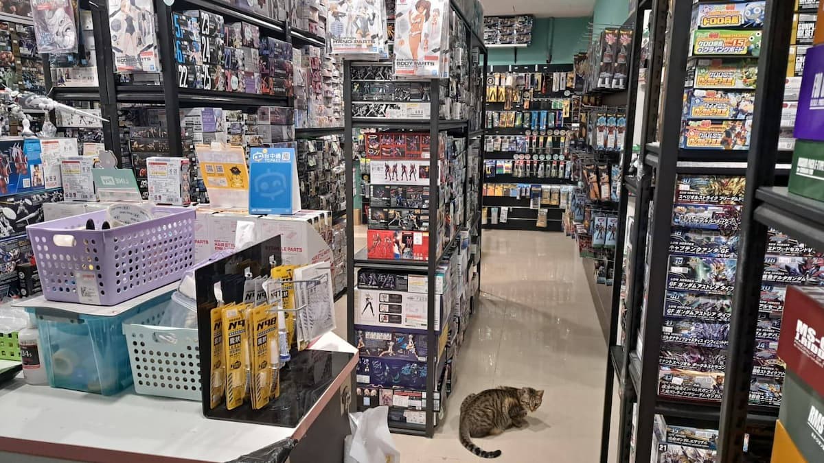 060cec86 68c9 4ef6 8172 10516f35aef4 176939253004319209909750792