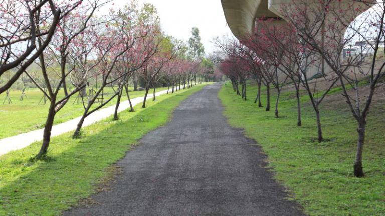 20260126113050 93426377