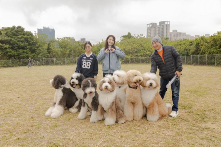 20260126163913 e66cadc3