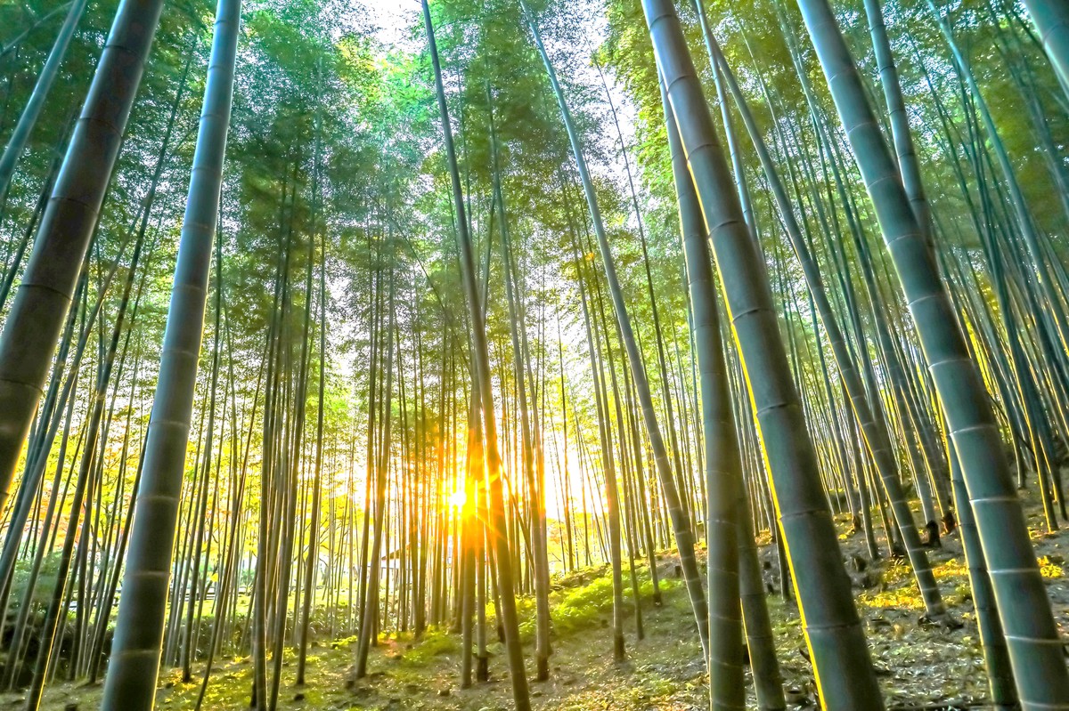 5879d356 4d54 4ff7 820e 94219eec2bac 176948191342488502009900553