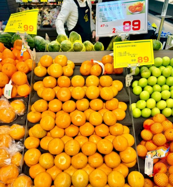 20260127153454 53 556x600 1